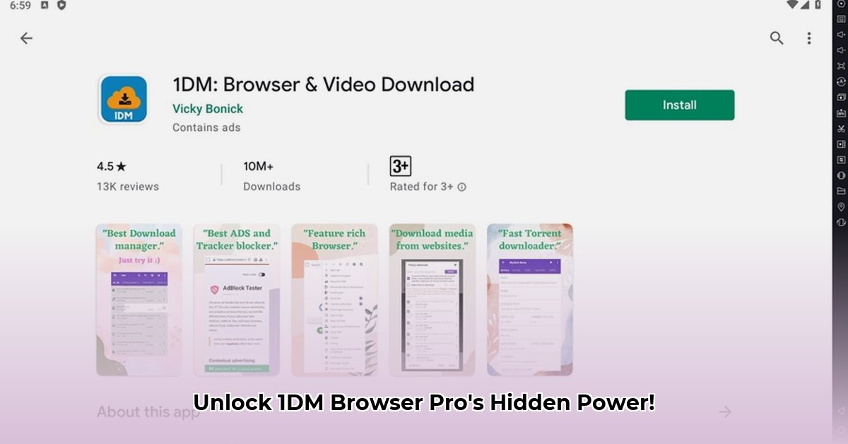 1dm-browser-pro-for-pc